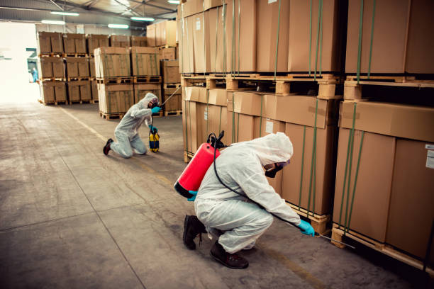 Best Pest Prevention Services  in Belvidere, IL