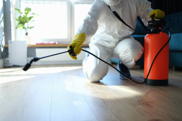 Professional Pest Control in Belvidere, IL