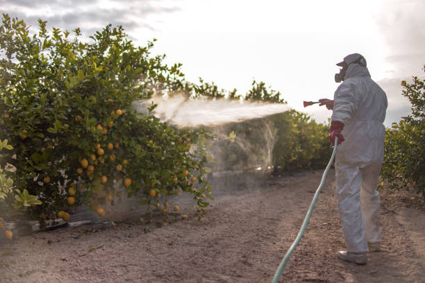 Best Pest Control for Businesses  in Belvidere, IL