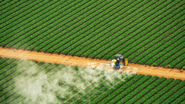 Best Commercial Pest Control Services  in Belvidere, IL
