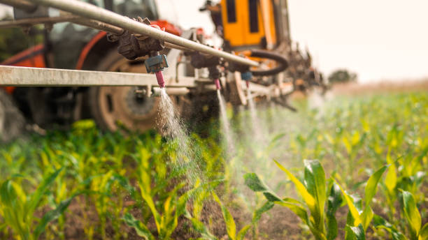 Best Mosquito Control Services  in Belvidere, IL